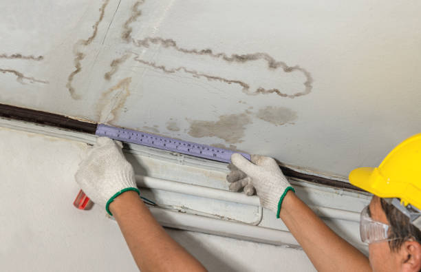Reliable Mold Remediation contractor in Springdale, UT by Water Damage Irwin